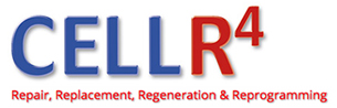 CellR4 - Cellular repair, replacement, regeneration, reprogramming and differentiation